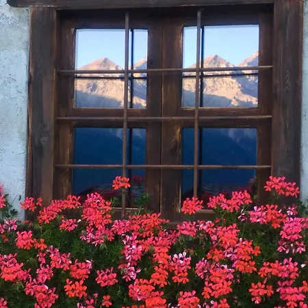 Appartement Il Nido Di Allevè - Cozy Mountain